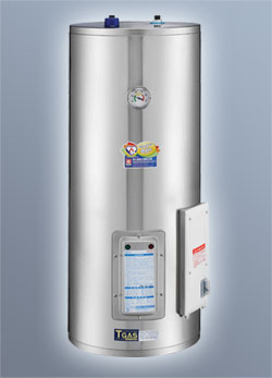 儲熱式電熱水器EH-208BS 20G