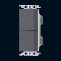雙開關(灰色/110V) WTGF5252H