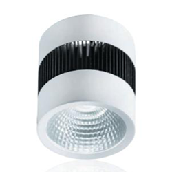 LED 30W 吸頂式筒燈 LED-21004R1