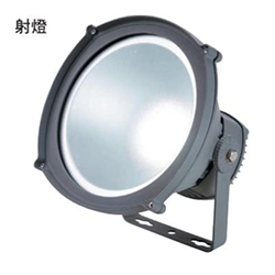 LED 22W 聚光型 兩用型投射燈(正白) OD-10061